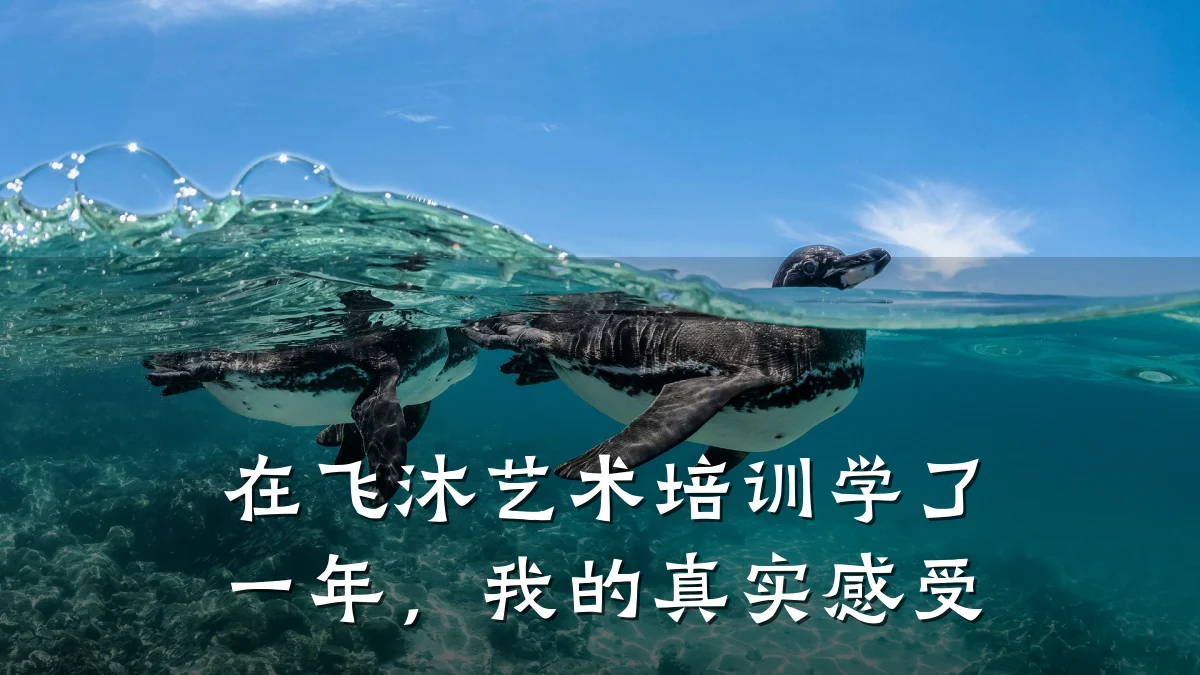 在飞沐艺术培训学了一年，我的真实感受