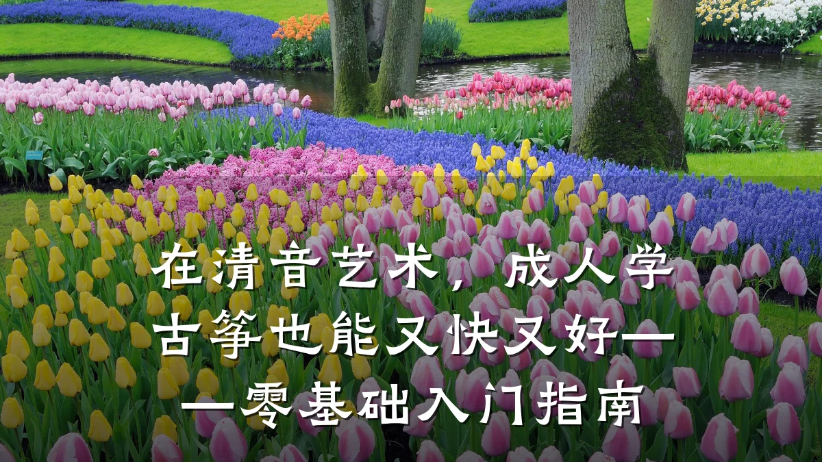 在清音艺术，成人学古筝也能又快又好——零基础入门指南