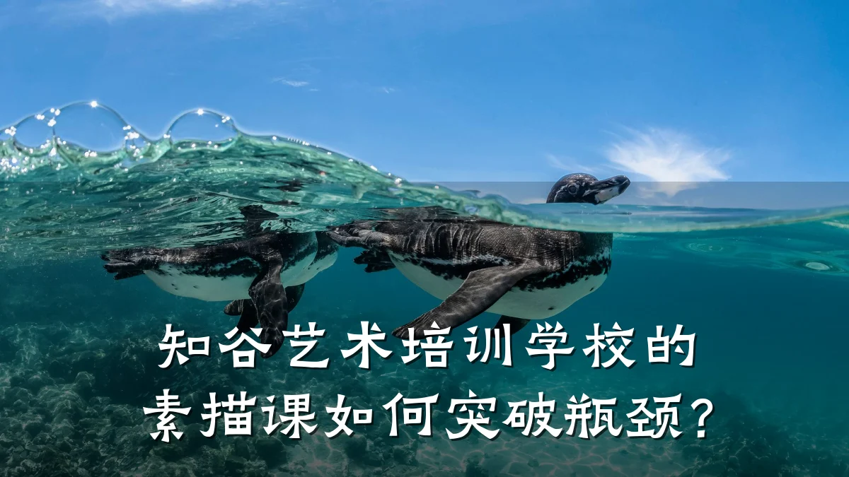 知谷艺术培训学校的素描课如何突破瓶颈？