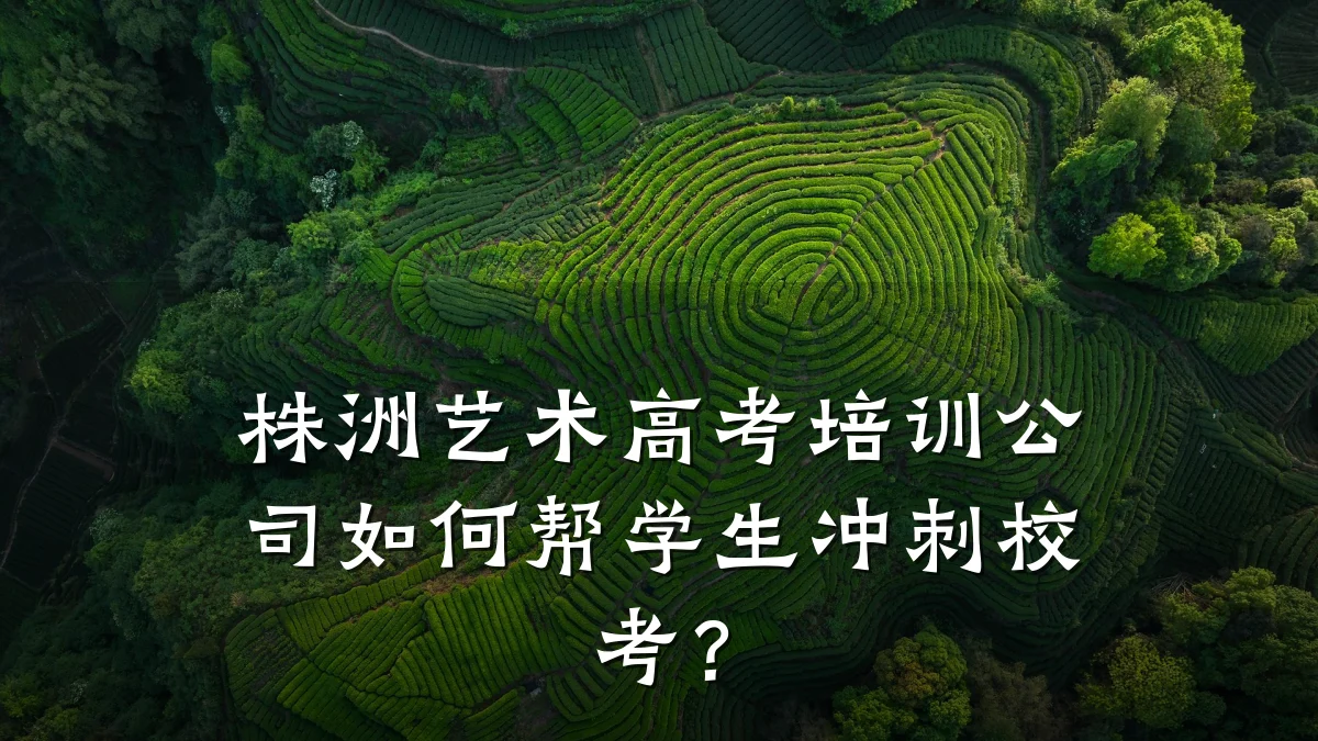 株洲艺术高考培训公司如何帮学生冲刺校考？