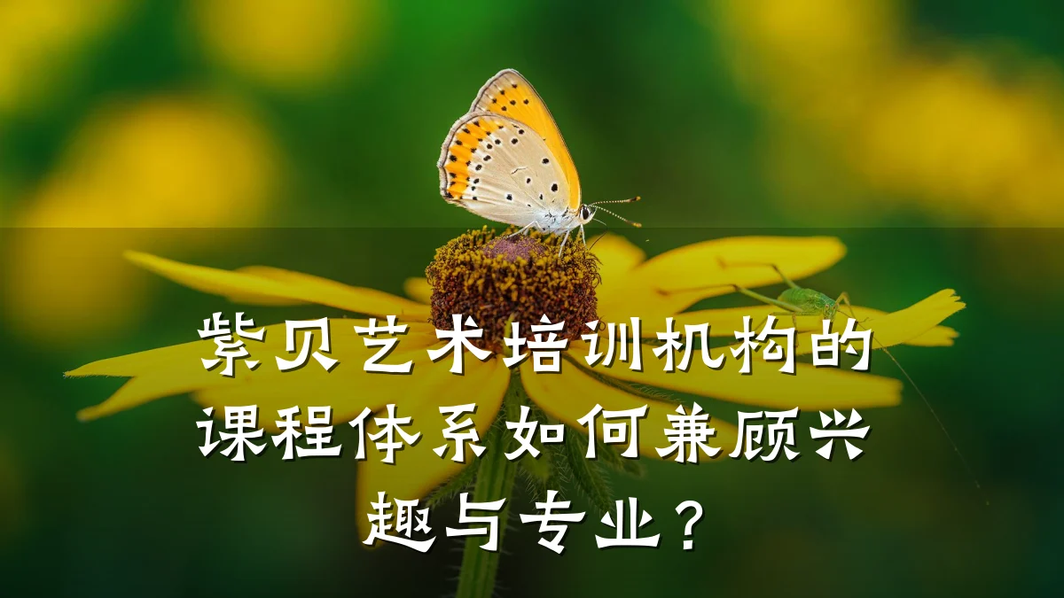 紫贝艺术培训机构的课程体系如何兼顾兴趣与专业？