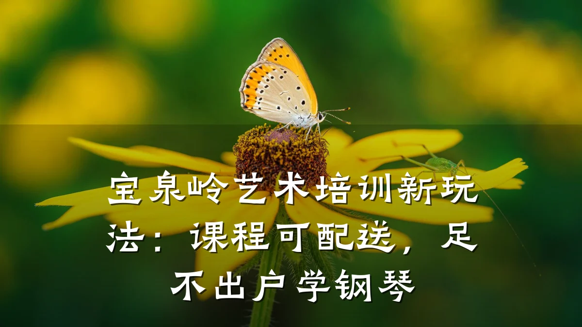 宝泉岭艺术培训新玩法：课程可配送，足不出户学钢琴
