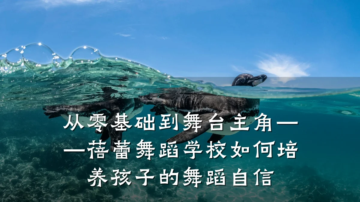 从零基础到舞台主角——蓓蕾舞蹈学校如何培养孩子的舞蹈自信