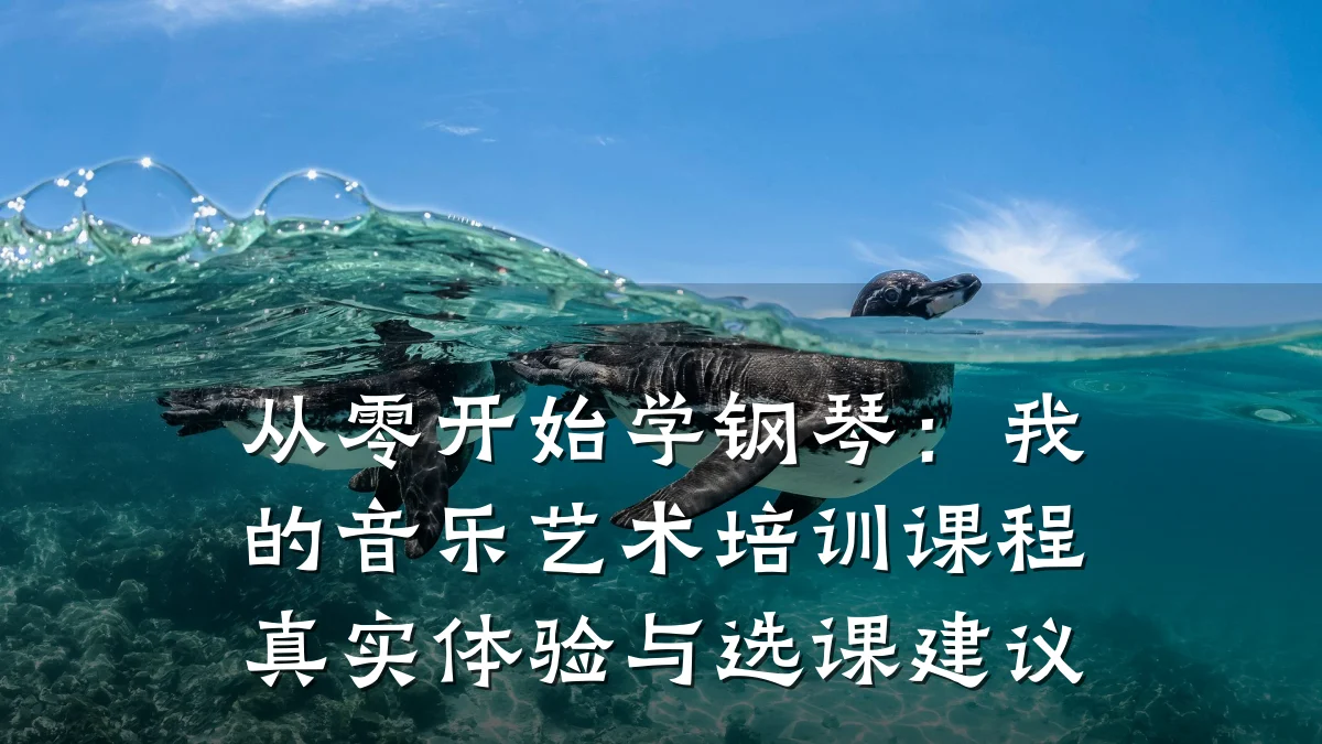从零开始学钢琴：我的音乐艺术培训课程真实体验与选课建议