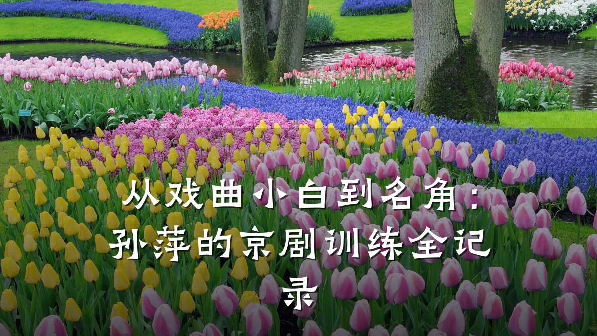 从戏曲小白到名角：孙萍的京剧训练全记录