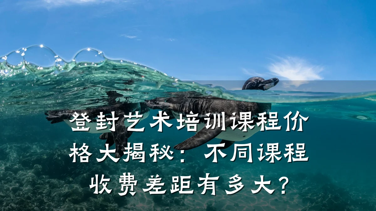 登封艺术培训课程价格大揭秘:不同课程收费差距有多大?