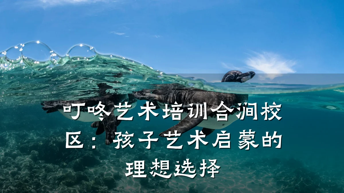 叮咚艺术培训合涧校区：孩子艺术启蒙的理想选择