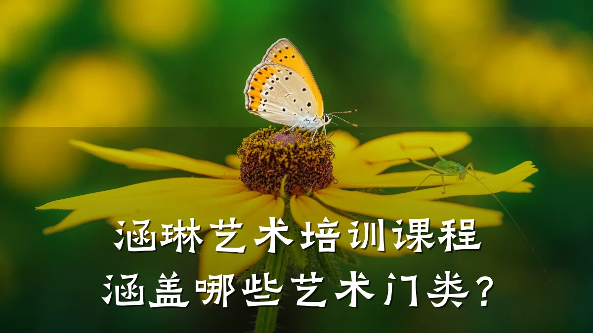 涵琳艺术培训课程涵盖哪些艺术门类？