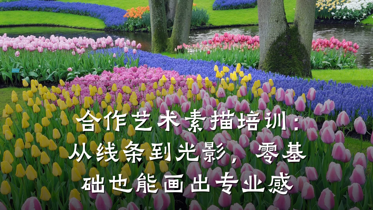 合作艺术素描培训：从线条到光影，零基础也能画出专业感