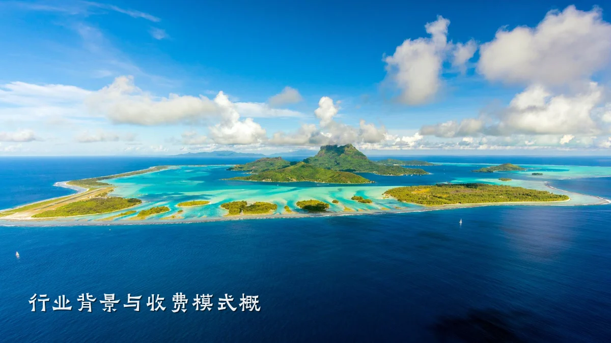 行业背景与收费模式概