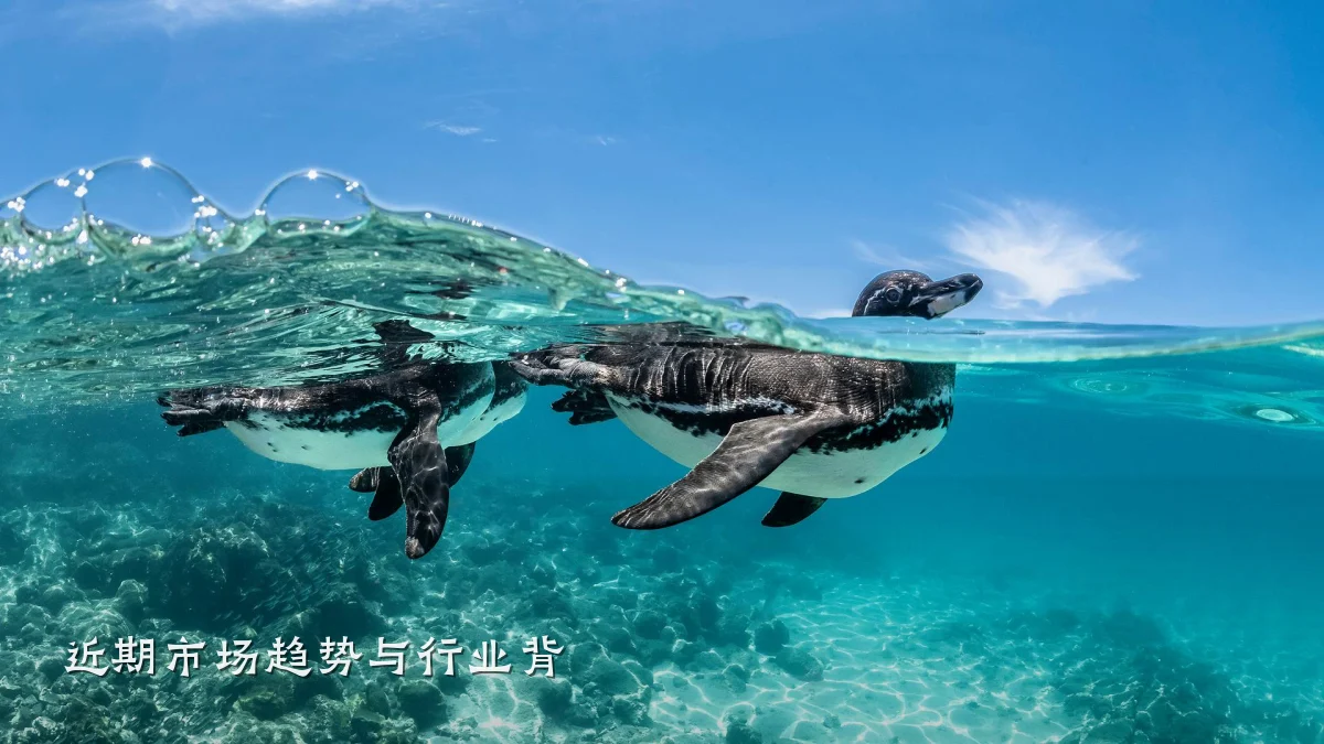 近期市场趋势与行业背