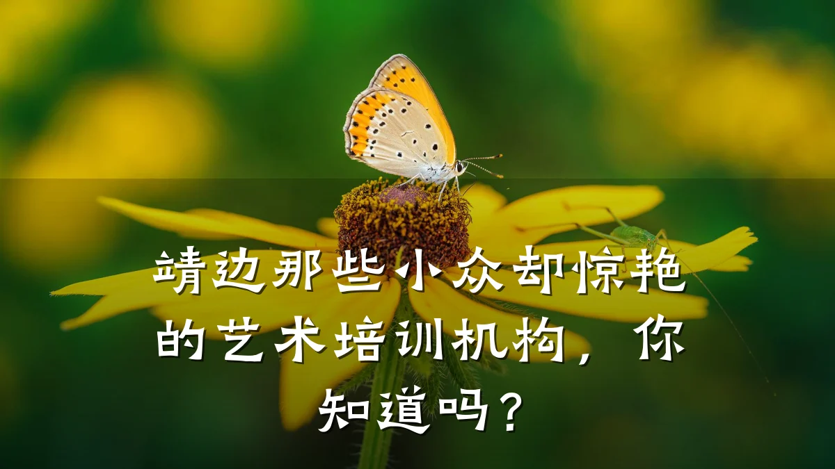 靖边那些小众却惊艳的艺术培训机构，你知道吗？