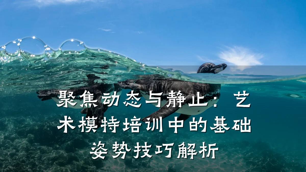 聚焦动态与静止：艺术模特培训中的基础姿势技巧解析