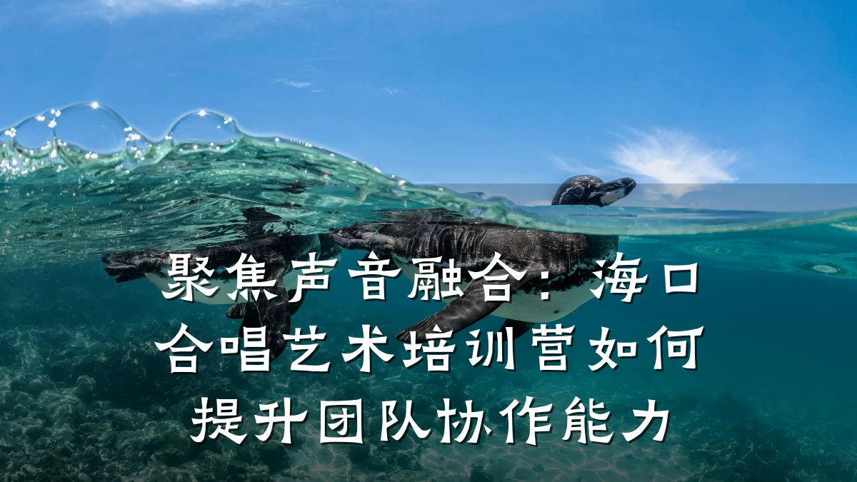 聚焦声音融合：海口合唱艺术培训营如何提升团队协作能力