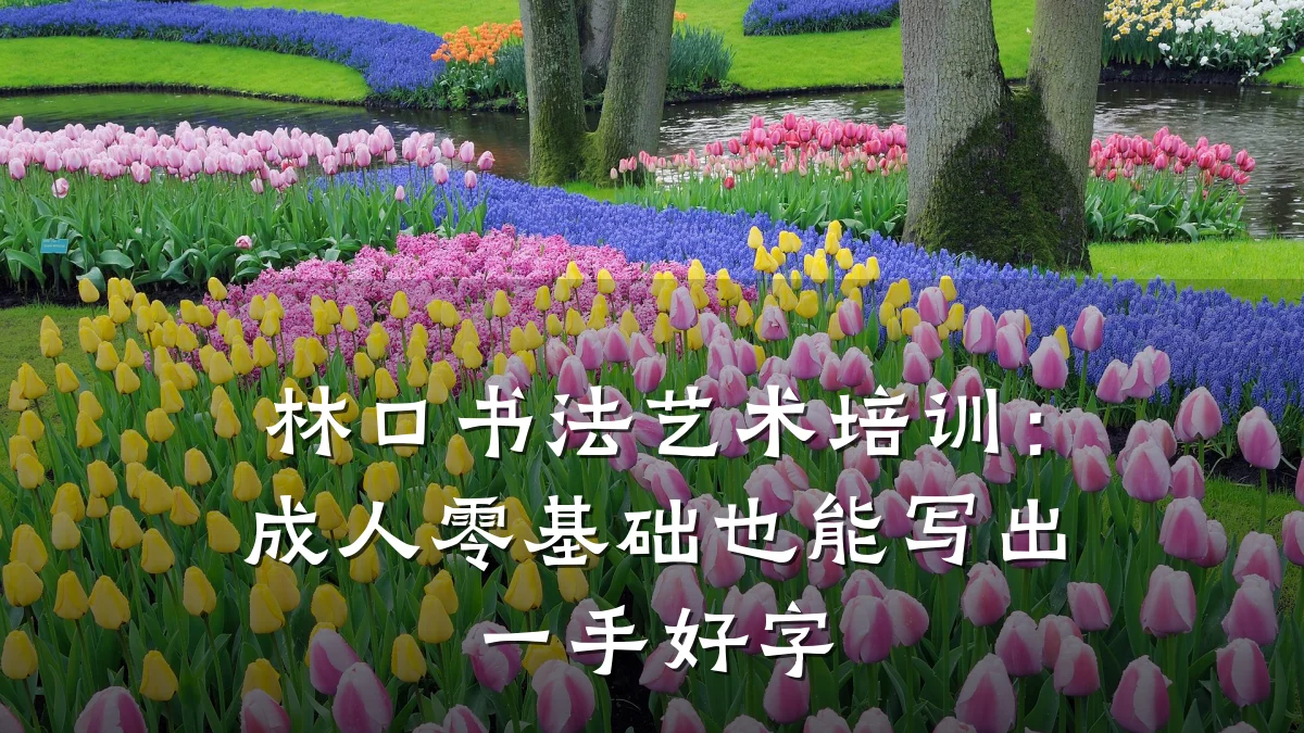 林口书法艺术培训：成人零基础也能写出一手好字