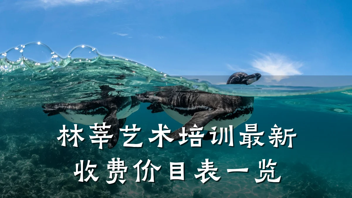 林莘艺术培训最新收费价目表一览