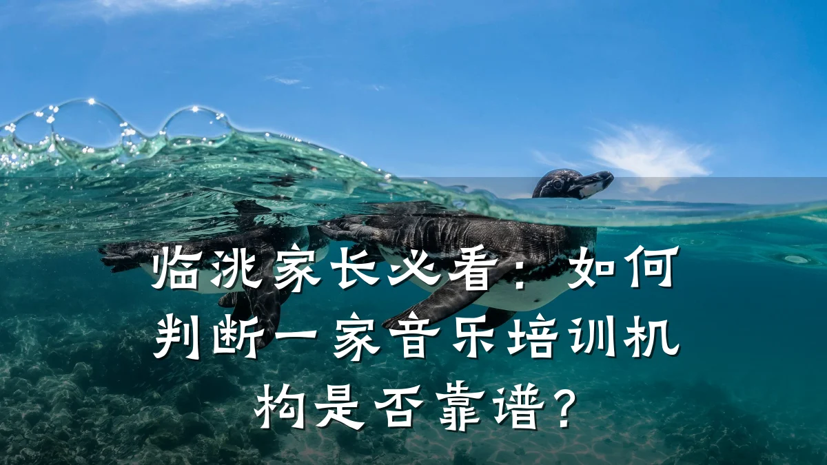 临洮家长必看：如何判断一家音乐培训机构是否靠谱？