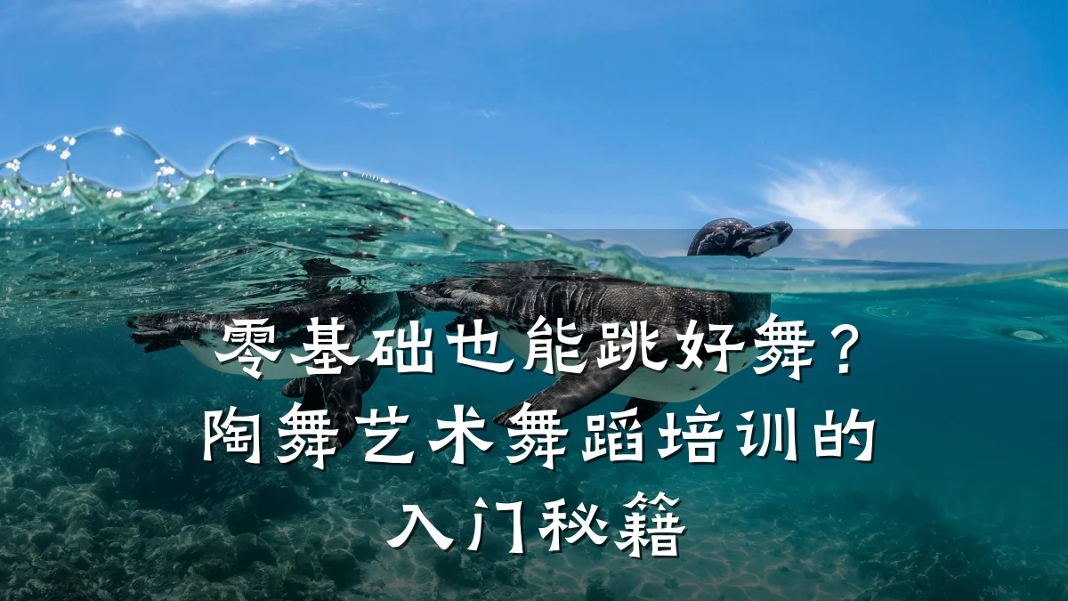 零基础也能跳好舞？陶舞艺术舞蹈培训的入门秘籍