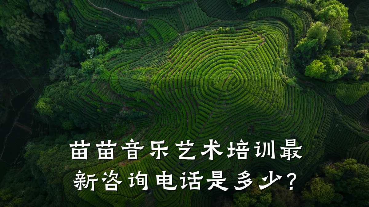 苗苗音乐艺术培训最新咨询电话是多少？