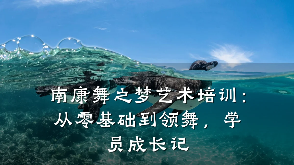 南康舞之梦艺术培训：从零基础到领舞，学员成长记