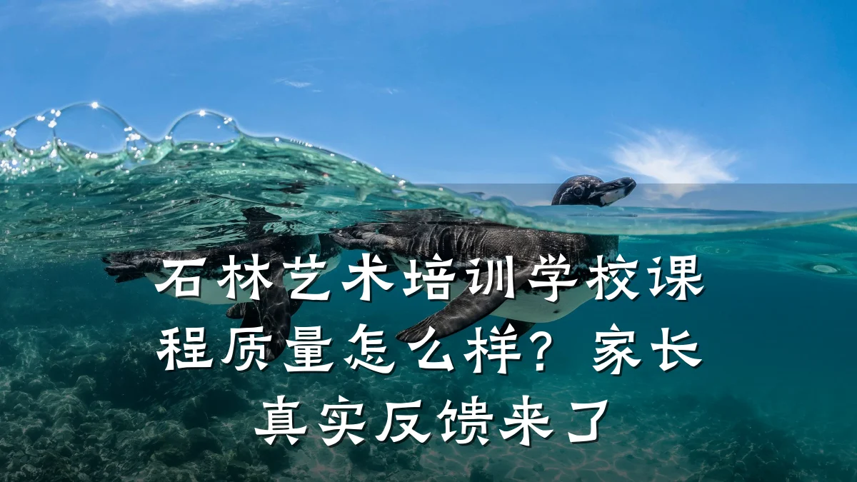 石林艺术培训学校课程质量怎么样？家长真实反馈来了