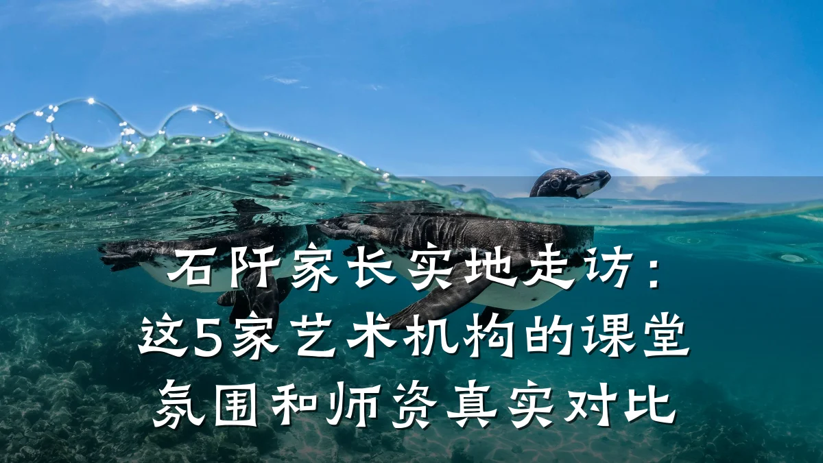 石阡家长实地走访：这5家艺术机构的课堂氛围和师资真实对比