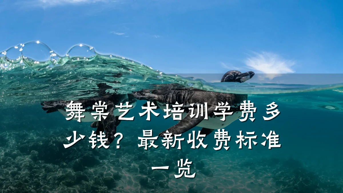 舞棠艺术培训学费多少钱？最新收费标准一览