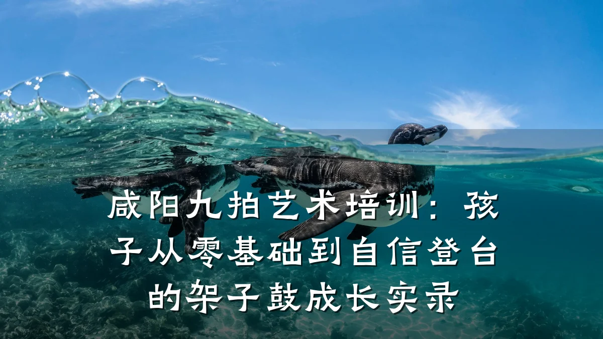 咸阳九拍艺术培训：孩子从零基础到自信登台的架子鼓成长实录
