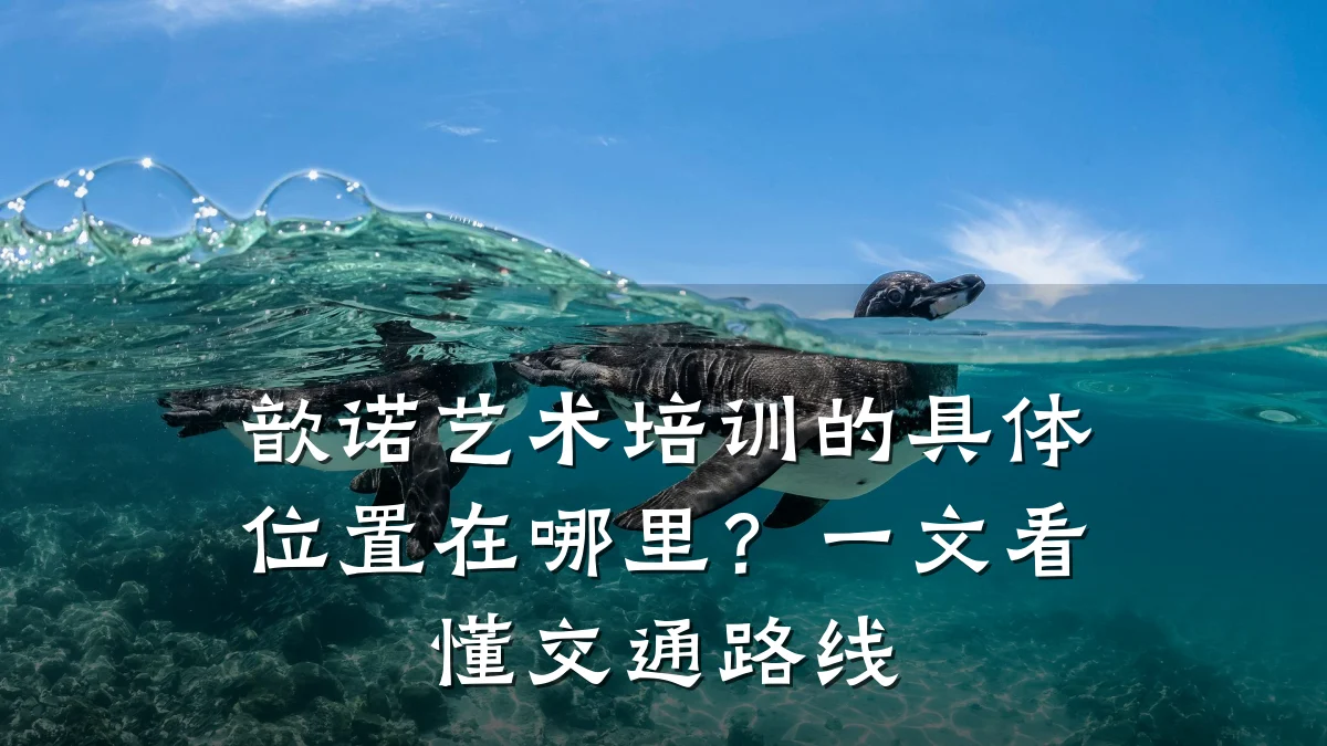 歆诺艺术培训的具体位置在哪里？一文看懂交通路线