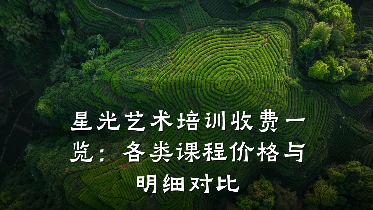 星光艺术培训收费一览：各类课程价格与明细对比
