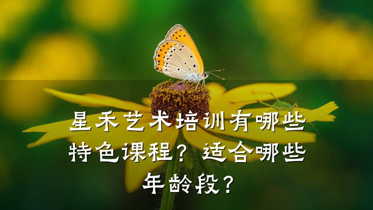 星禾艺术培训有哪些特色课程？适合哪些年龄段？
