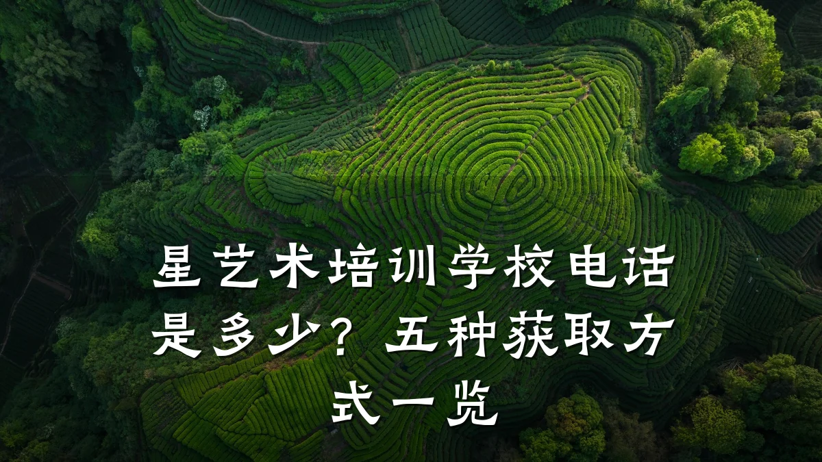 星艺术培训学校电话是多少？五种获取方式一览