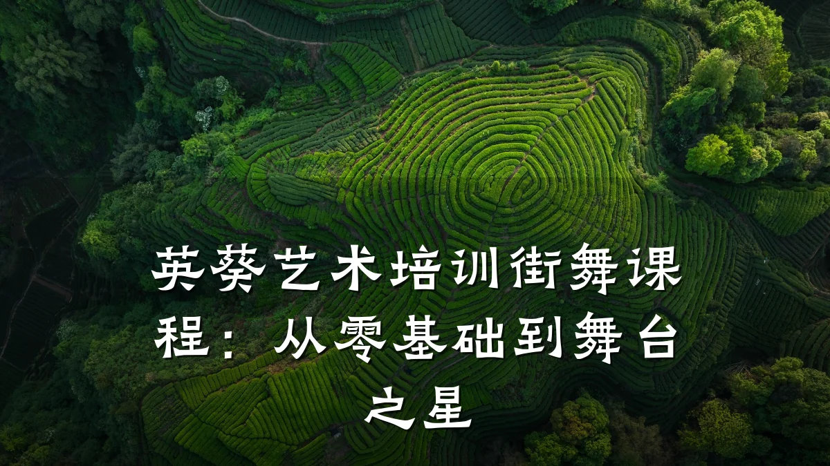 英葵艺术培训街舞课程：从零基础到舞台之星