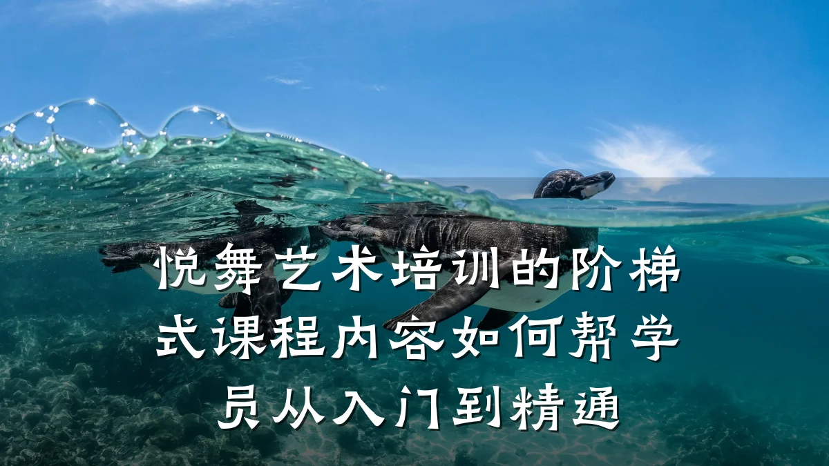 悦舞艺术培训的阶梯式课程内容如何帮学员从入门到精通