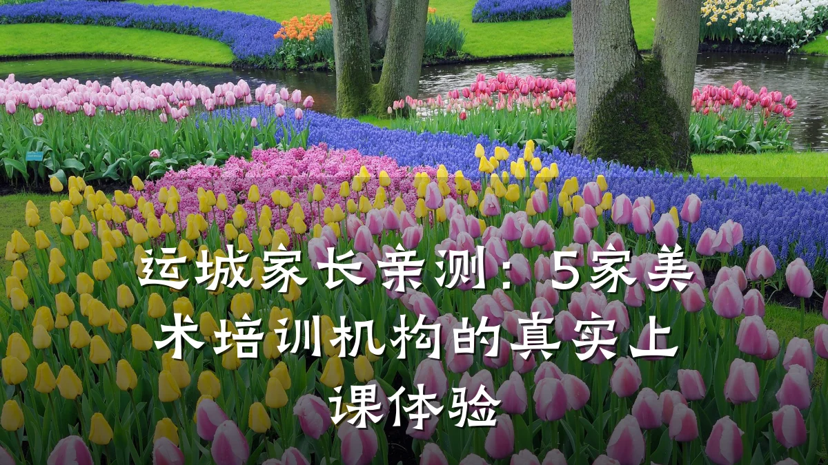 运城家长亲测：5家美术培训机构的真实上课体验