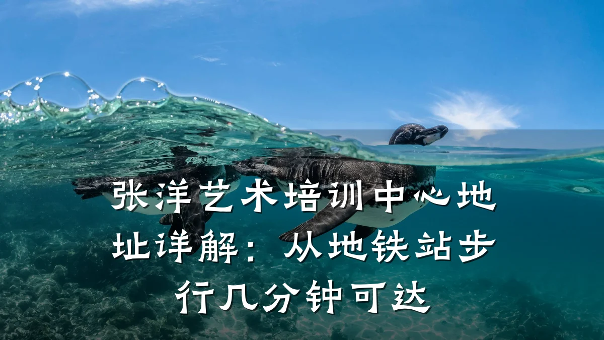 张洋艺术培训中心地址详解：从地铁站步行几分钟可达